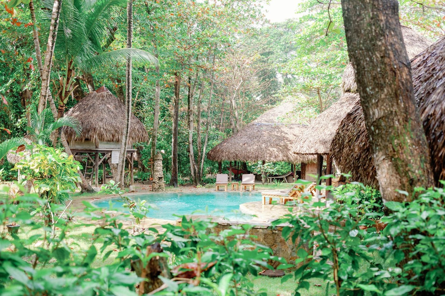 Ecoturismo & Naturaleza